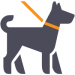 animal waste